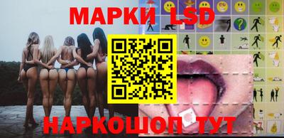 гидропоника Пенза