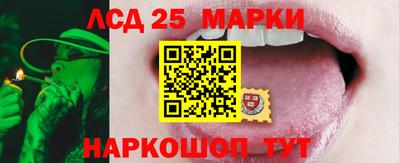 гидропоника Пенза