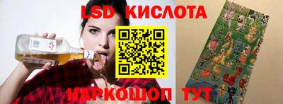 индика Партизанск