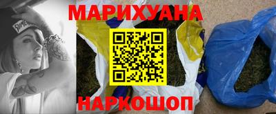 гидропоника Пенза