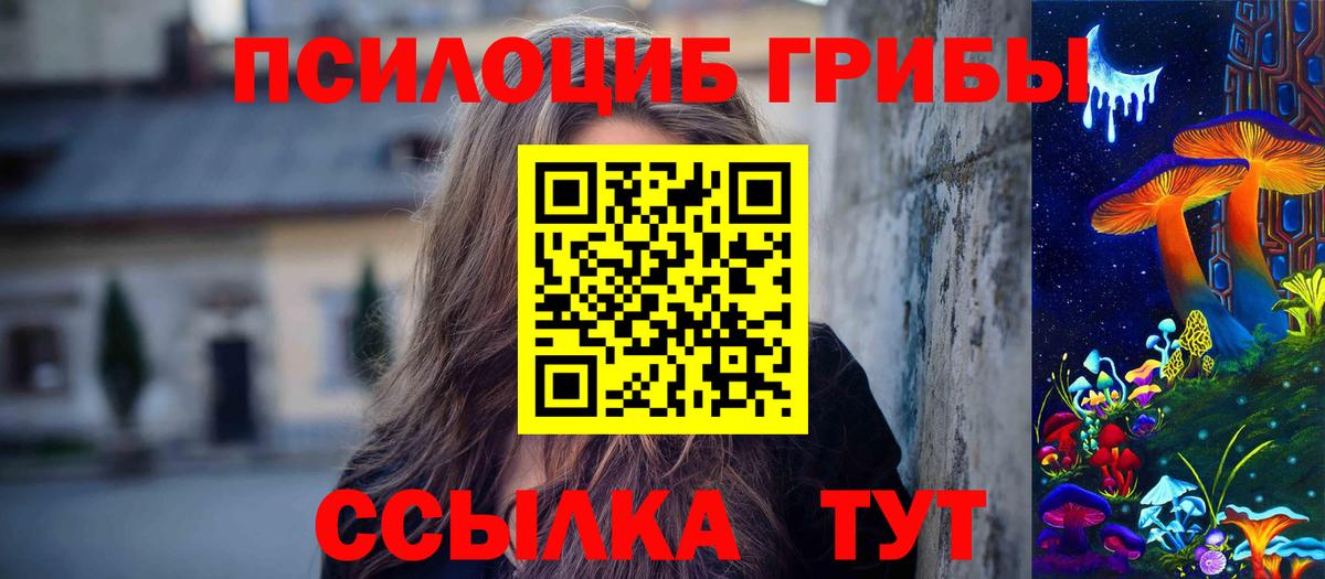 Галлюциногенные грибы прущие грибы Сибай