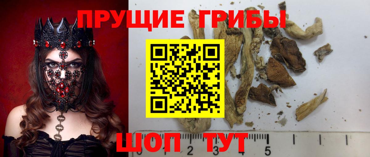 Сибай  Псилоцибиновые грибы Magic Shrooms  Вход с VPN 